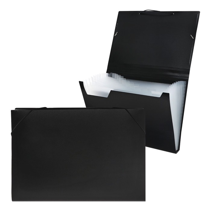 Папка картотека А4, Calligrata, 13 отделений, пластиковая, 700 мкм, чёрная Папка картотека А4, Calligrata, 13 отделений, пластиковая, 700 мкм, чёрная