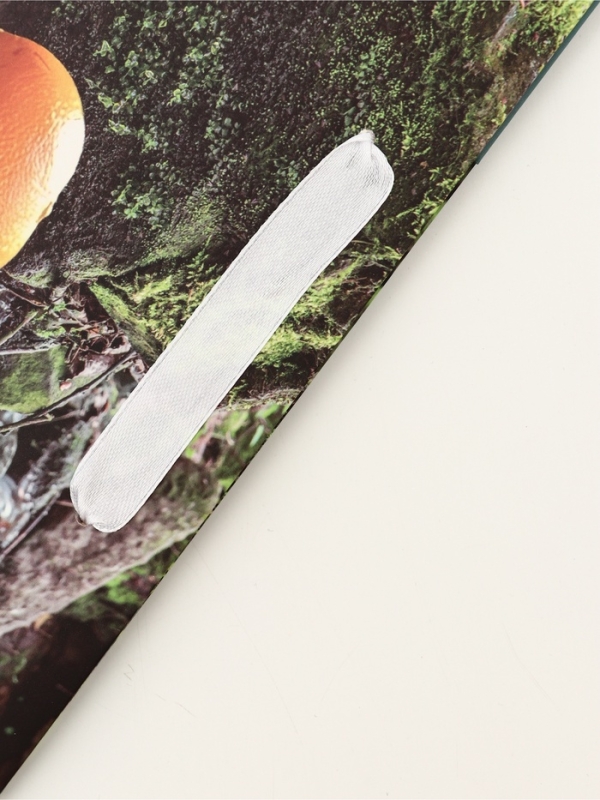 Пакет подарочный вертикальный "Капибара", 23 × 27 × 11.5 см