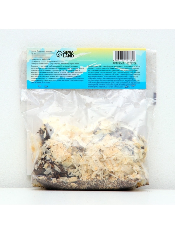 Глоксиния «Принц Альберт», многолетник, комнатный, луковица в пакете с перфорацией, р-р 5/6, 2 шт.