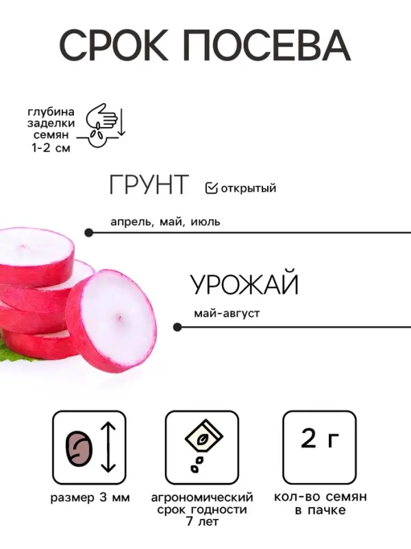 Семена Редис  "Сладкоежка "  2 г