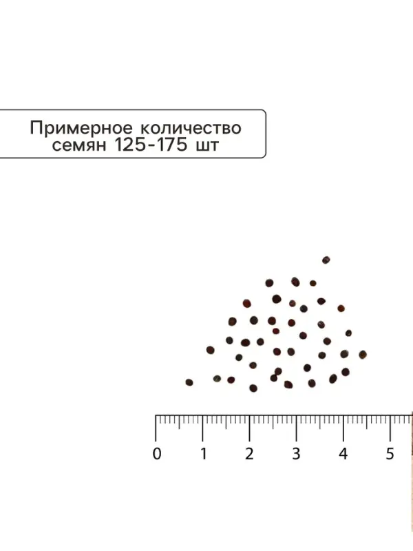 Семена Капуста белокочанная &laquo;Сахарная голова&raquo;, 0.5 г, &laquo;Урожай удачи&raquo;