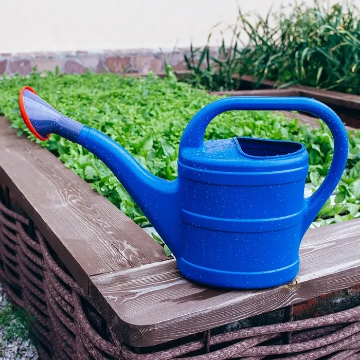 Лейка, 8 л, с рассеивателем, носик d=35 мм, цвет МИКС