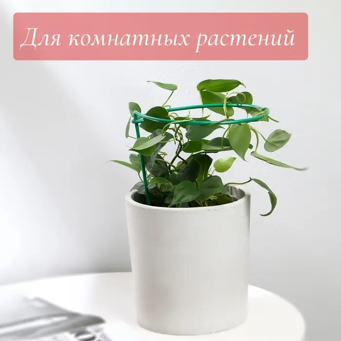 Кустодержатель для клубники, d=20 см, h=25 см, ножка d=0.3 см, металл, зелёный, Greengo