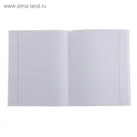 Тетрадь 48 листов в клетку, Calligrata &laquo;Авокадо&raquo;, белые листы, МИКС