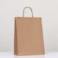Пакет крафт без печати 24×11×32 см