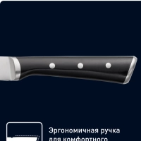 Набор ножей Ice Force K2323S74, 3 предмета
