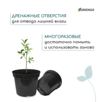 Горшок для рассады, 5 л, d = 22 см, h = 18 см, чёрный, Greengo