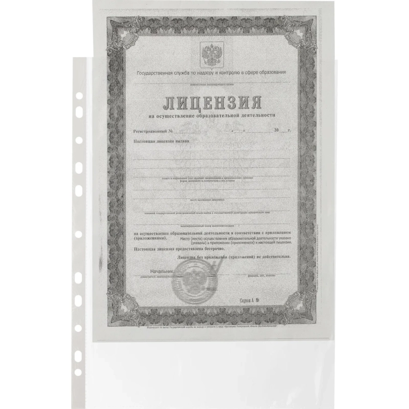 Файл-вкладыш А4 22-25мкм Выбор есть, гладкие, с перф, 100шт./уп