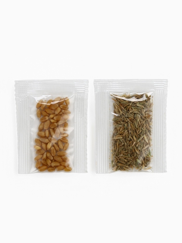 СТ_набор для опытов Мой мини сад (трактор)