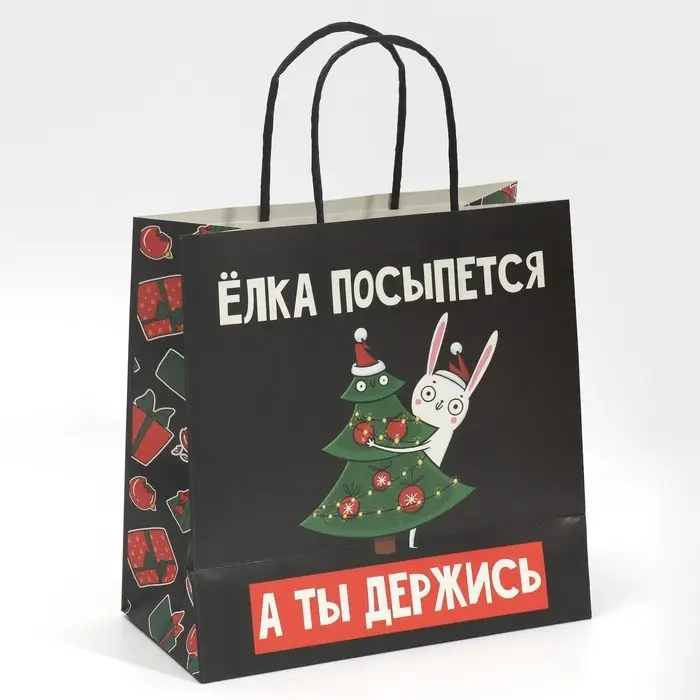 Пакет подарочный новогодний «А ты держись», 22 х 22 х 11 см Пакет подарочный новогодний «А ты держись», 22 х 22 х 11 см