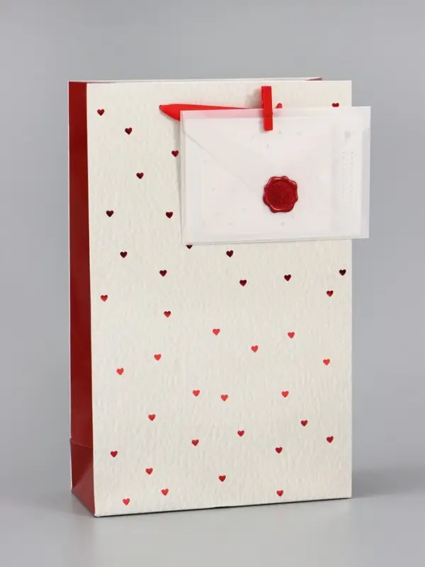Пакет ламинированный &laquo;Важный момент&raquo;, 22.3&times;9&times;35 см