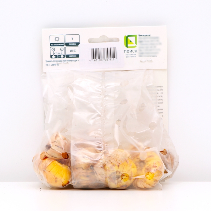 Гладиолус крупноцветковый «Эмбер Мистик», луковица цветов в пакете с перфорацией, р-р 10/12, 10 шт.