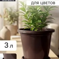 Горшок для цветов с поддоном &laquo;Альтернатива. Эконом&raquo;, 3 л, пластиковый, коричневый