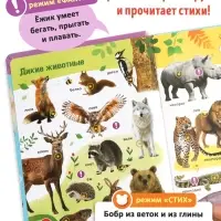 Говорящая книга &laquo;Мир вокруг меня&raquo;