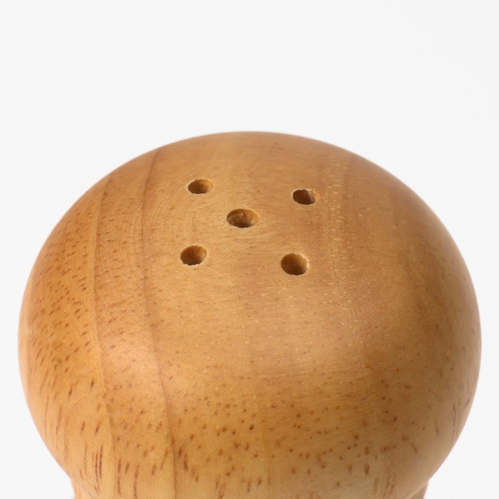 Набор для специй Доляна «Комфорт», 2 предмета: мельница и солонка Набор для специй Доляна «Комфорт», 2 предмета: мельница и солонка