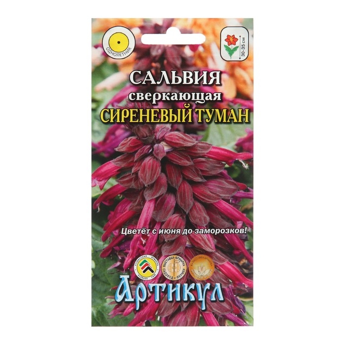 Семена цветов Сальвия  Семена цветов Сальвия "Сиреневый туман", 10 шт