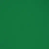 Пленка двухсторонняя для цветов и декора, 0.57&times;0.57 см, зелёный