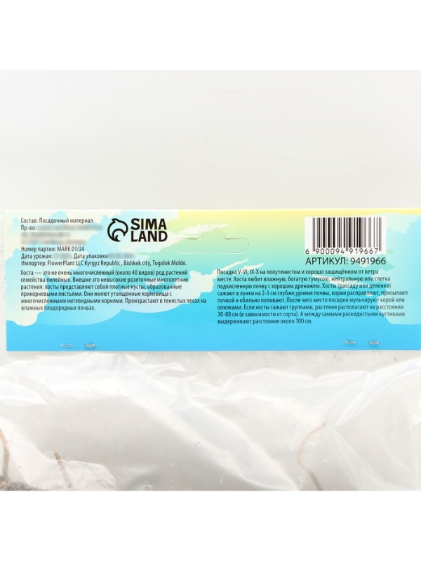 Хоста Atlantis, корневище в пакете с торфогрунтом, р-р I, размер L,1 шт.