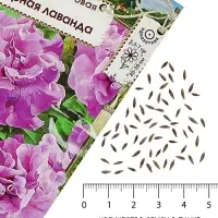 Семена Цветов Петуния махровая &laquo;Дуо Горная лаванда&raquo;, F1, Premium seeds