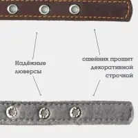 Ошейник, 50&times;2.5 см, подклад из ватина, кожа, коричневый