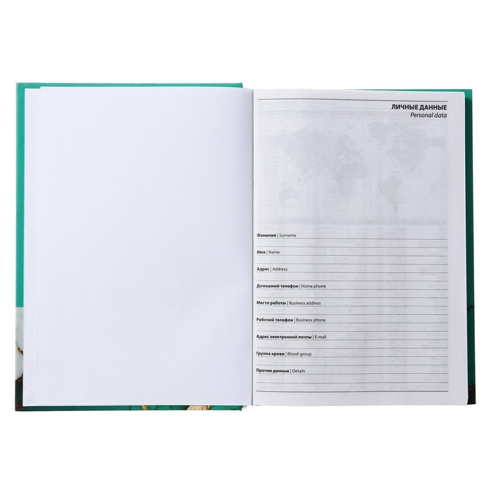 Ежедневник недатированный на сшивке А5 160 листов, картон 7БЦ, матовая ламинация, фольга Ежедневник недатированный на сшивке А5 160 листов, картон 7БЦ, матовая ламинация, фольга "Мрамор бирюз. Коллаж"