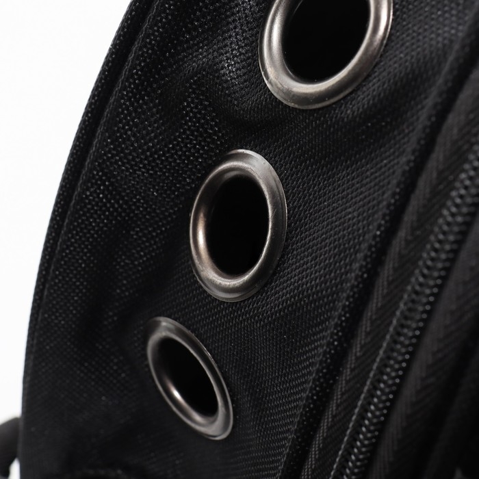 Рюкзак для переноски кошек и собак Рюкзак для переноски кошек и собак "Ромашка", с окном, 32 х 26 х 44 см