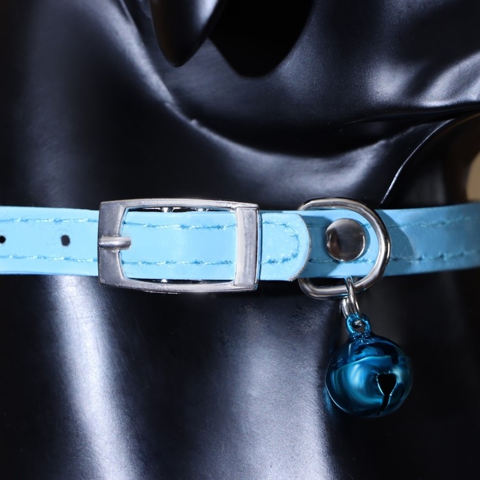 Ошейник Ошейник "Сияние" с бусиной и бубенчиком, 29 х 1 см, ОШ 21-26, голубой