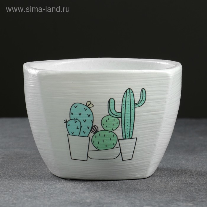 Кашпо Кактус  белый 0,5 л Кашпо Кактус  белый 0,5 л