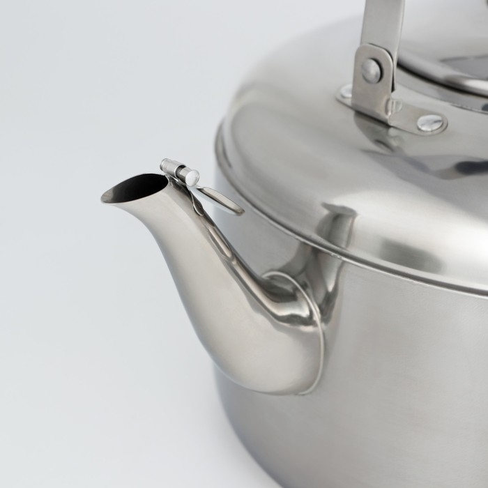 Чайник со свистком из нержавеющей стали, 6 л, цвет хромированный Чайник со свистком из нержавеющей стали, 6 л, цвет хромированный