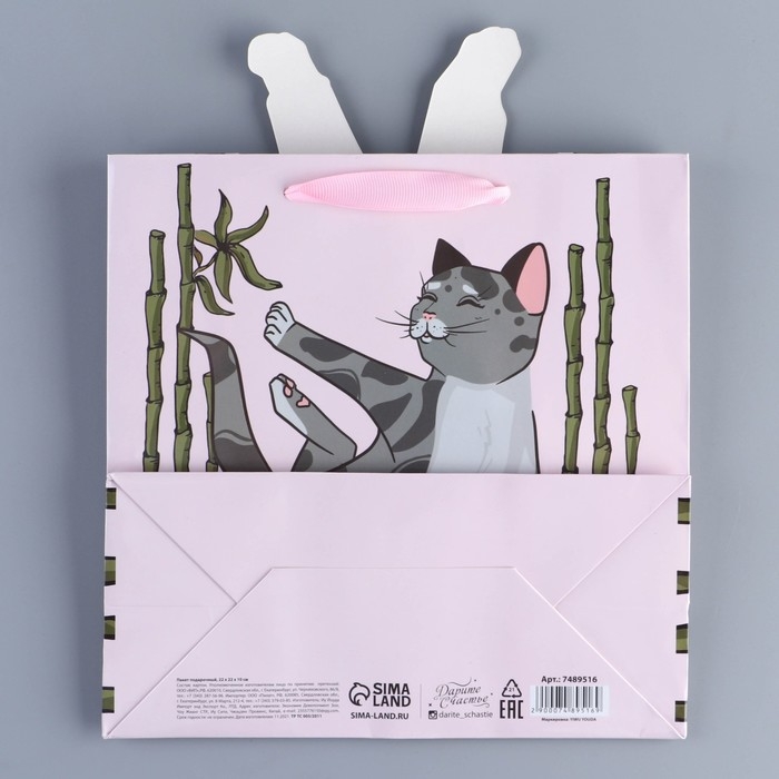 Пакет подарочный, упаковка, «Йога», 22 х 22 х 10 см Пакет подарочный, упаковка, «Йога», 22 х 22 х 10 см