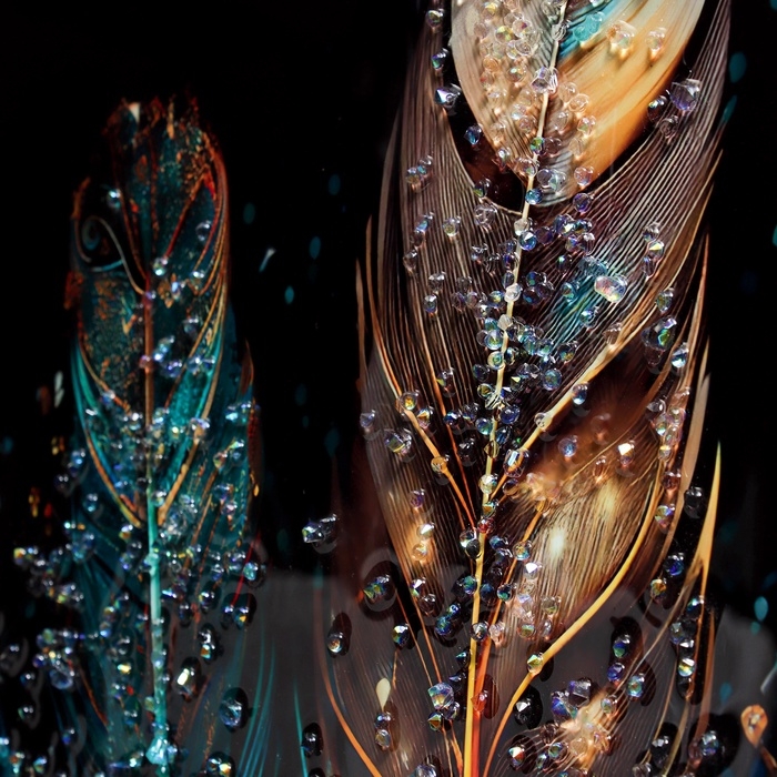 Картина акрил  Картина акрил "Перо колор сияние" 60х39,5 см