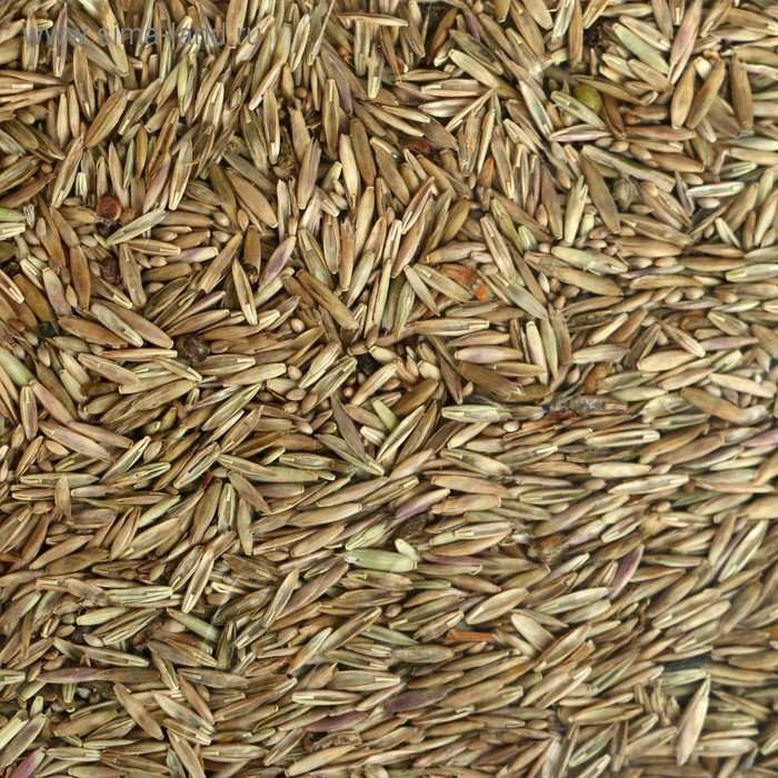 Газон Газон "Красотень", "Детский", 0,5 кг