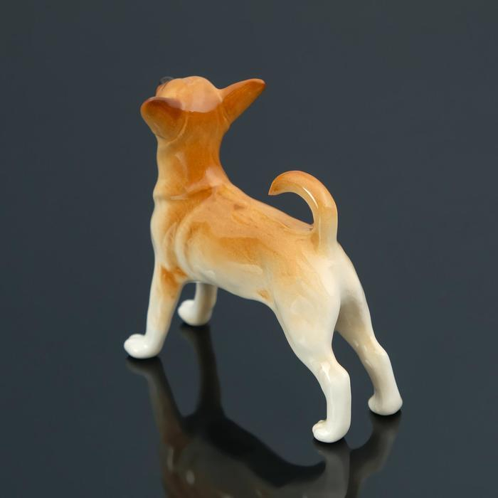 Сувенир Сувенир "Чихуахуа", ручная работа, фарфор