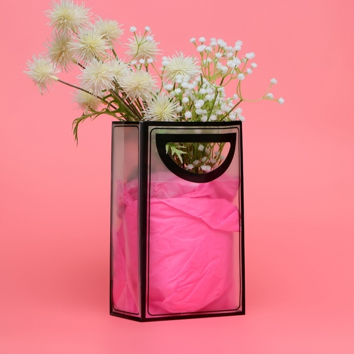 Пакет ПП с вырубной ручкой, прозрачный, 25 х 19 х 9 см, черный Пакет ПП с вырубной ручкой, прозрачный, 25 х 19 х 9 см, черный