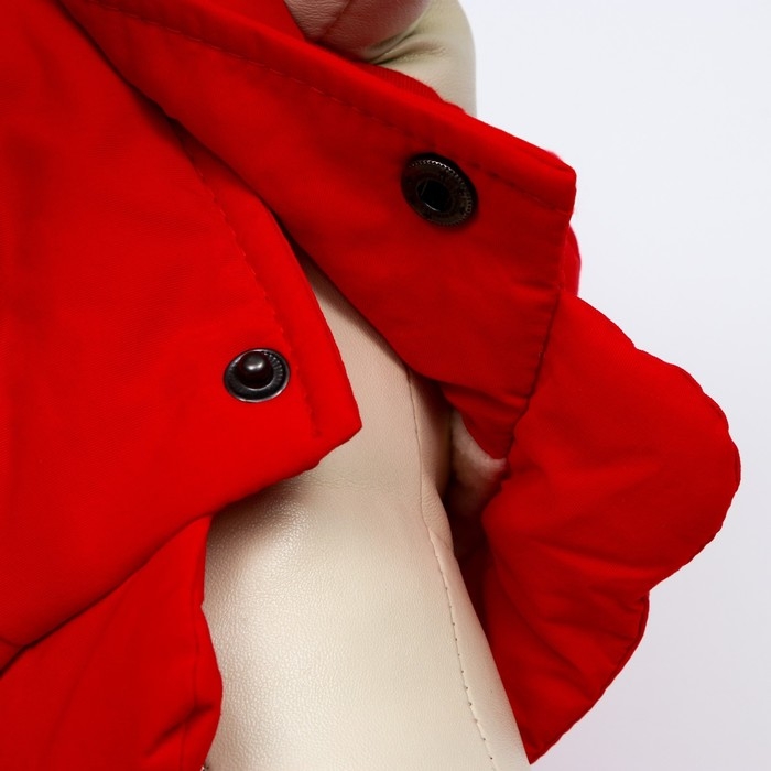 Куртка для собак, S (ДС 20 см, ОШ 23 см, ОГ 32 см), красная Куртка для собак, S (ДС 20 см, ОШ 23 см, ОГ 32 см), красная