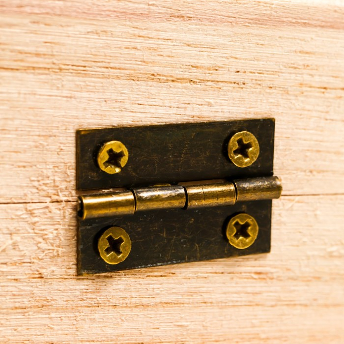 Шкатулка дерево для росписи, 22х8,5х16,5 см Шкатулка дерево для росписи, 22х8,5х16,5 см