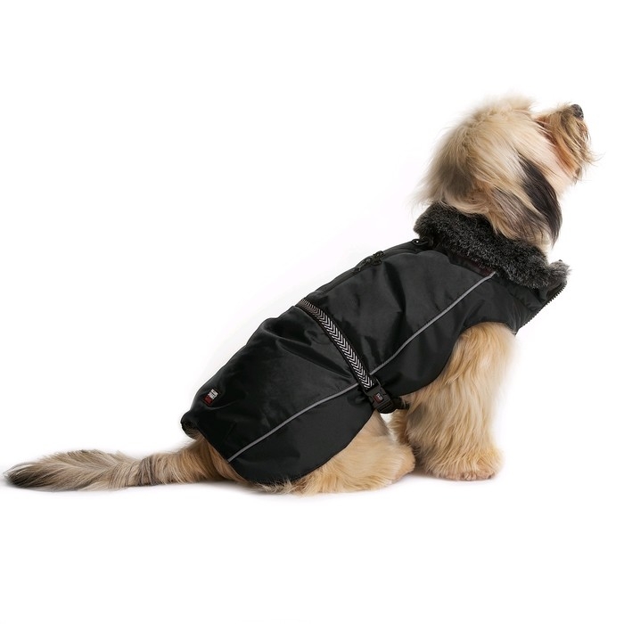 Нано куртка Dog Gone Smart Aspen parka зимняя с меховым воротником, ДС 66 см, чёрная Нано куртка Dog Gone Smart Aspen parka зимняя с меховым воротником, ДС 66 см, чёрная