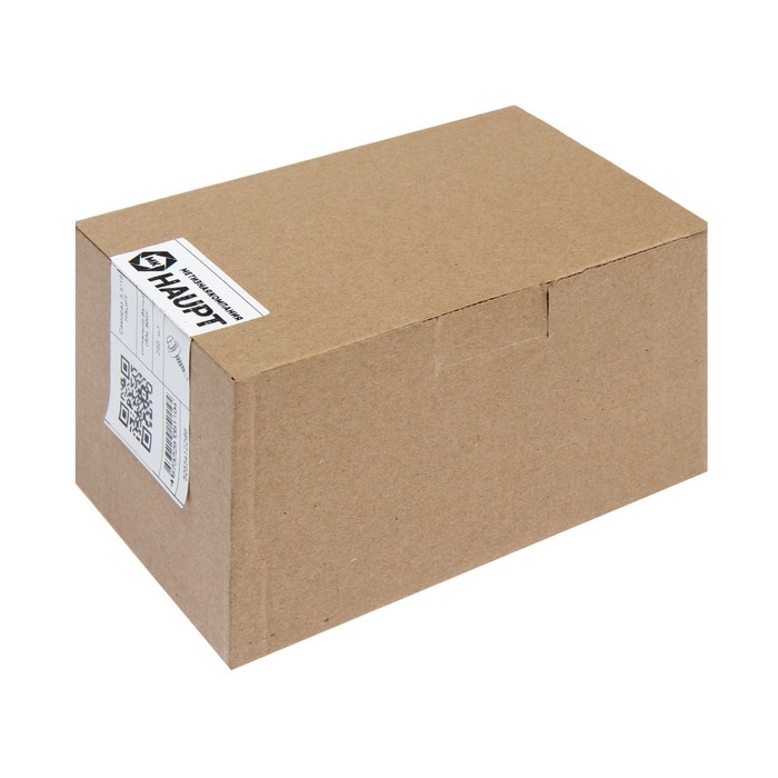 Саморезы кровельные, HAUPT 5.5х19 RAL9003, белый 250 шт Саморезы кровельные, HAUPT 5.5х19 RAL9003, белый 250 шт