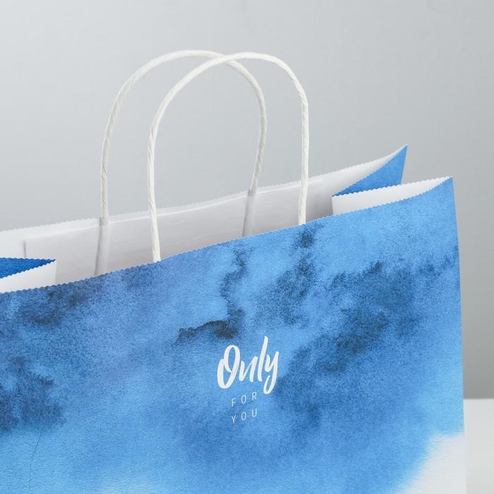 Пакет подарочный крафт, упаковка, «Only for you», 32 х 28 х 15 см Пакет подарочный крафт, упаковка, «Only for you», 32 х 28 х 15 см