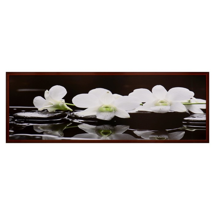 Картина  Картина "Орхидеи на чёрных камнях" 57*157 см рамка МИКС