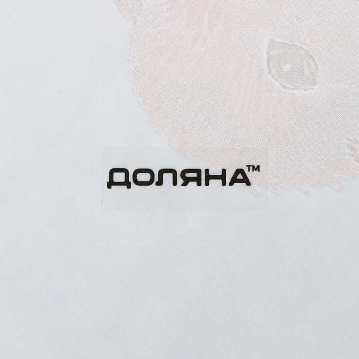 Тарелка стеклянная Доляна &laquo;Кролик&raquo;, d=20 см