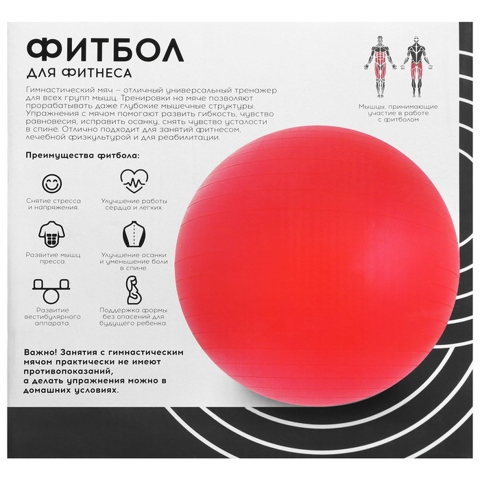 Фитбол ONLYTOP, d=55 см, 600 г, цвета МИКС Фитбол ONLYTOP, d=55 см, 600 г, цвета МИКС