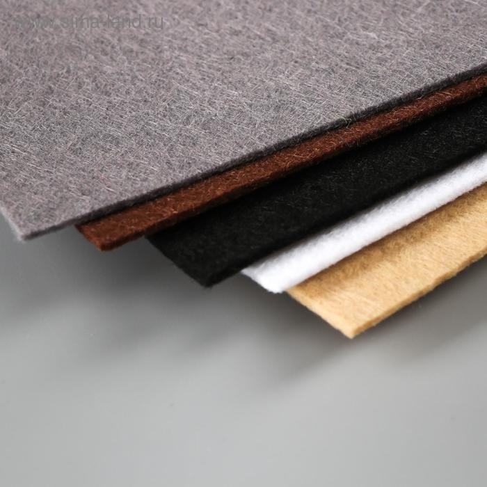 Фетр Фетр "BLITZ" 2,2 мм, жёсткий 20х30 см ± 2 см (набор 5 шт) ассорти №5