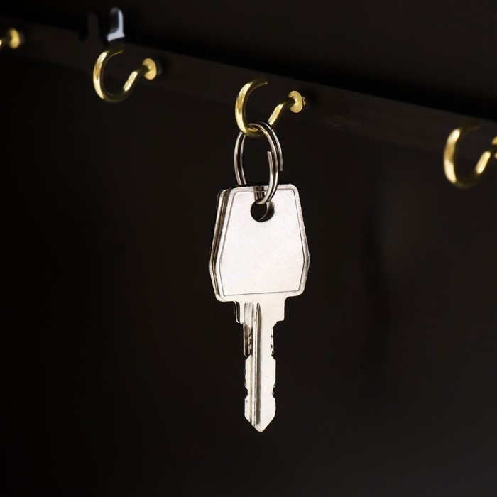 Ключница Ключница "Утки у лесного домика" Венге 26,5х31,5х4,5 см МИКС