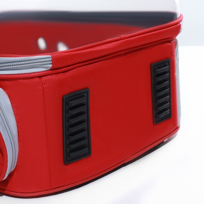 Рюкзак для переноски кошек, прозрачный, 32 х 28 х 42 см, красный Рюкзак для переноски кошек, прозрачный, 32 х 28 х 42 см, красный