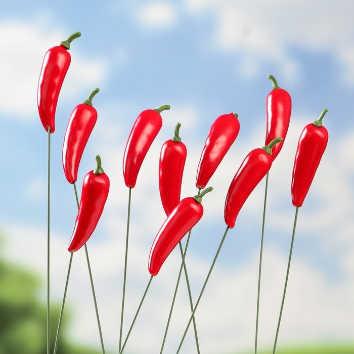 Набор штекеров Набор штекеров "Острый перчик" 10шт, 3см, длина 25см