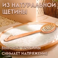 Щётка массажная для тела из натуральной щетины, с ручкой, гладкая