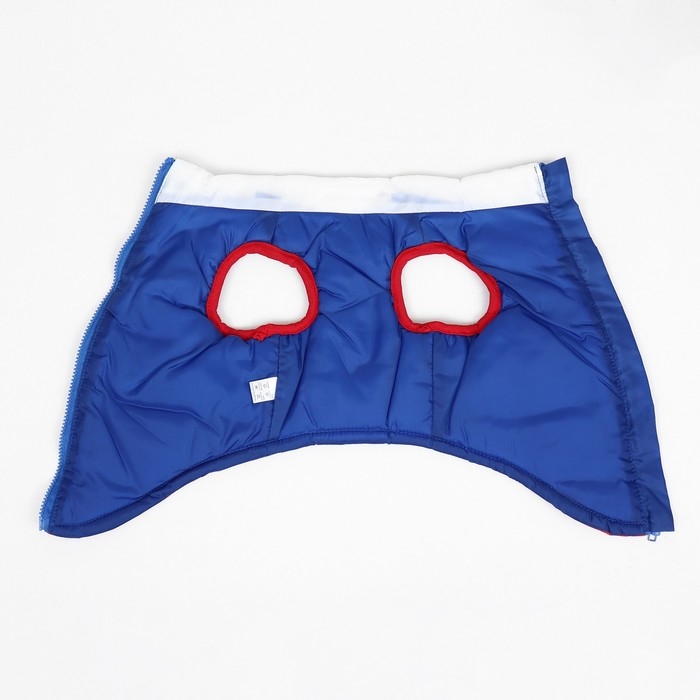 Куртка для собак  Куртка для собак "Патриот", размер S (ДС 22, ОГ 37 см)