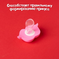 Пустышка-прикол, силиконовая, ортодонтическая, с колпачком, +6 мес., «Зайка»