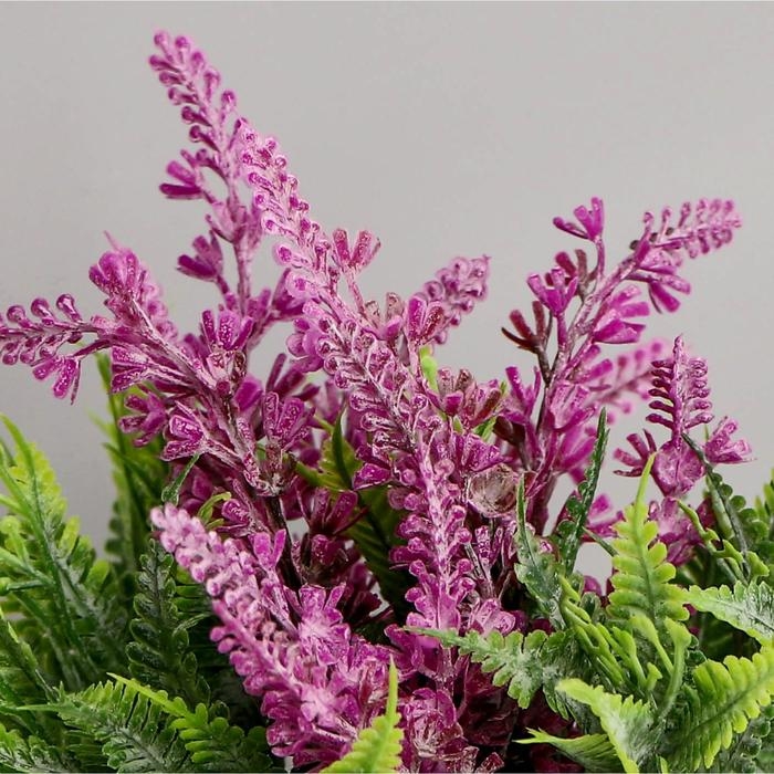 Бонсай в горшке Бонсай в горшке "Лаванда с папоротником" 6,5х12 см, микс